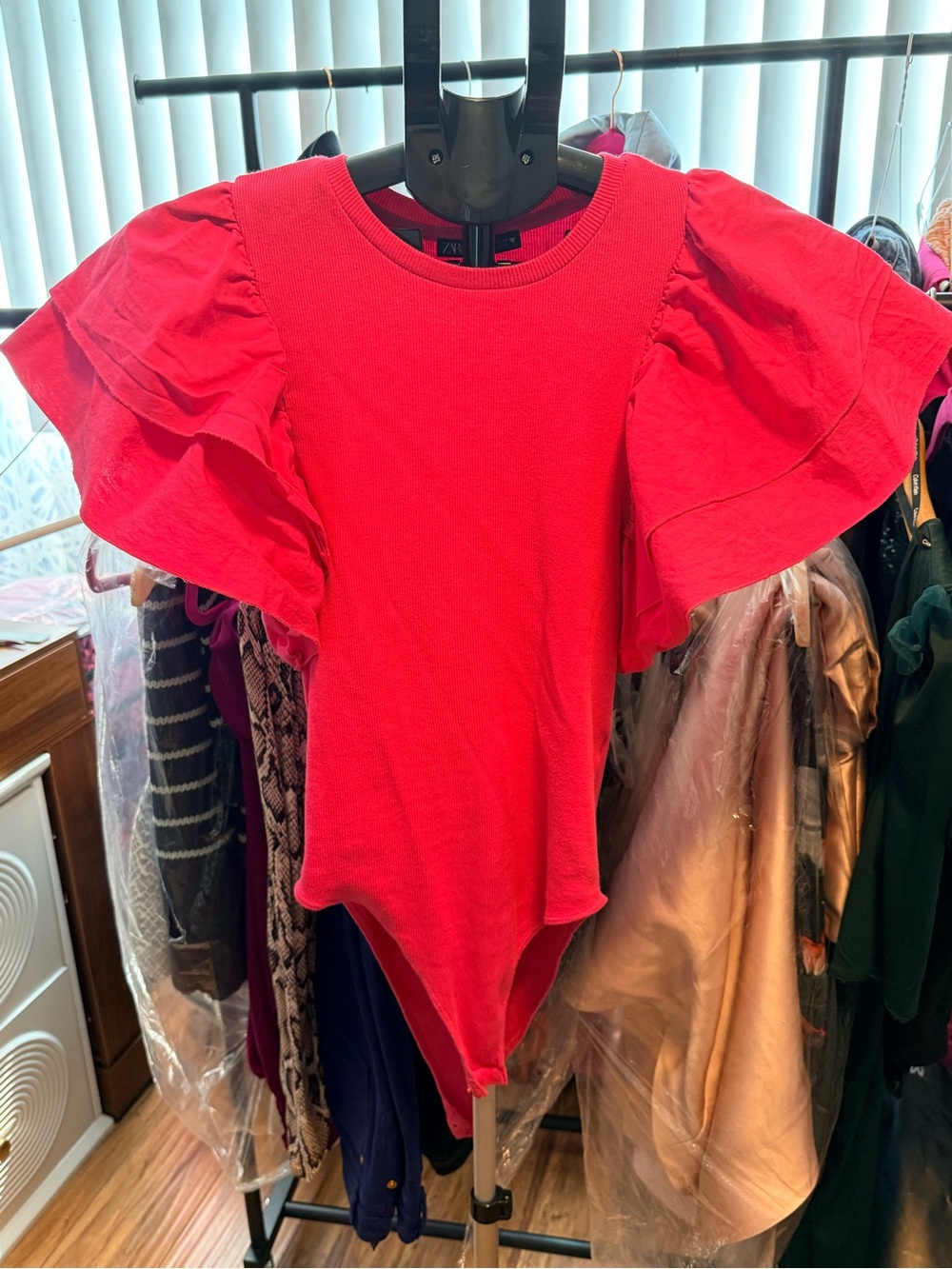 Zara Pink Ruffle-Sleeve Bodysuit